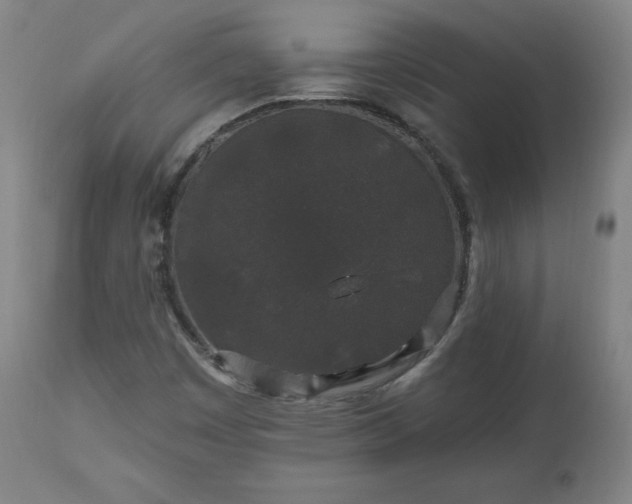 X0000112521449200908241433
