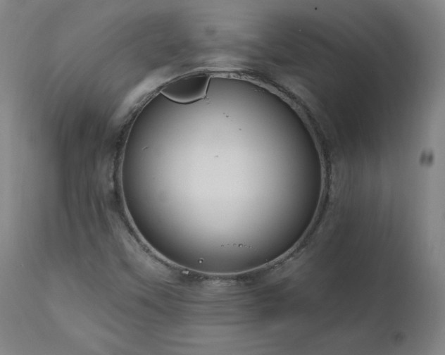 X0000112521451200908241433