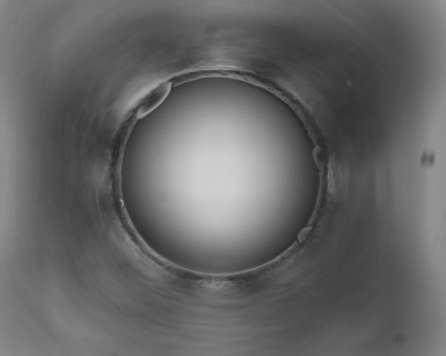 X0000112521452200908241433