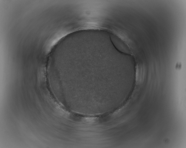 X0000112521453200908241433