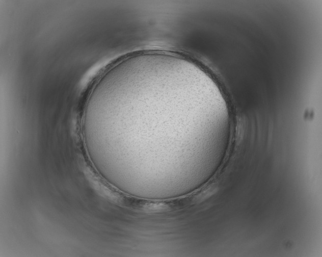 X0000112521454200908241433