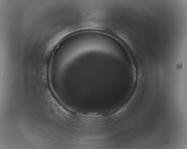 X0000112521455200908241433