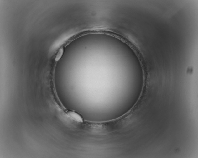 X0000112521456200908241433