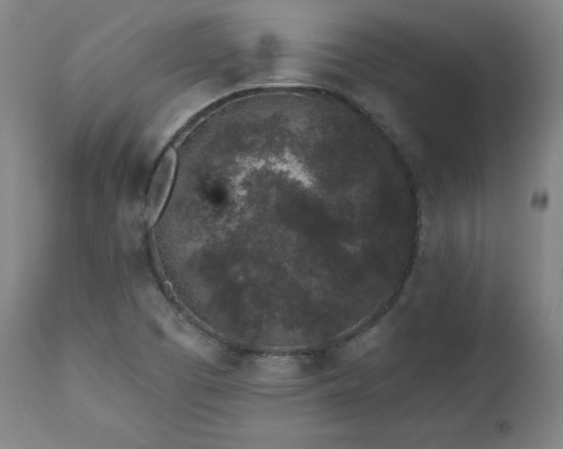 X0000112521457200908241433