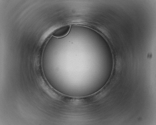 X0000112521458200908241433