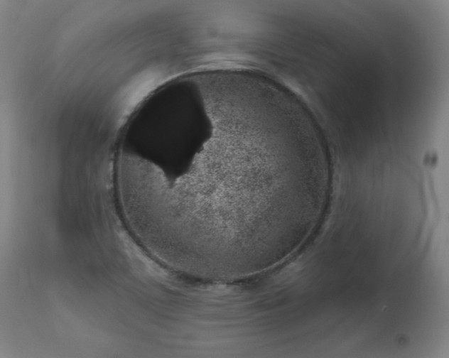 X0000112521459200908241433
