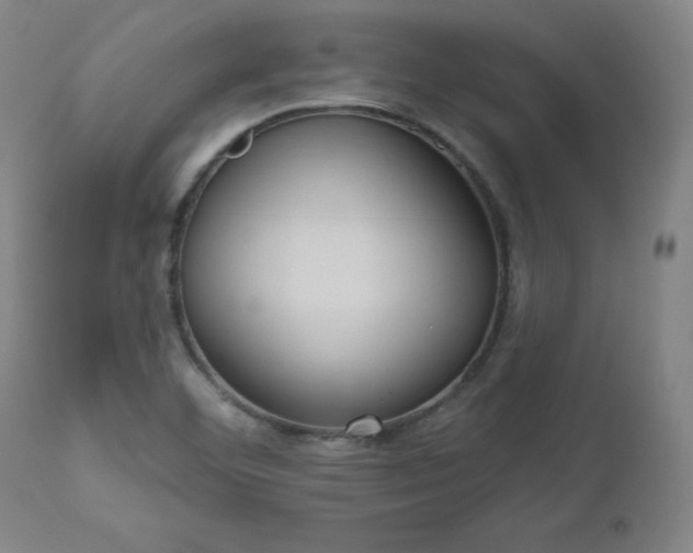 X0000112521460200908241433
