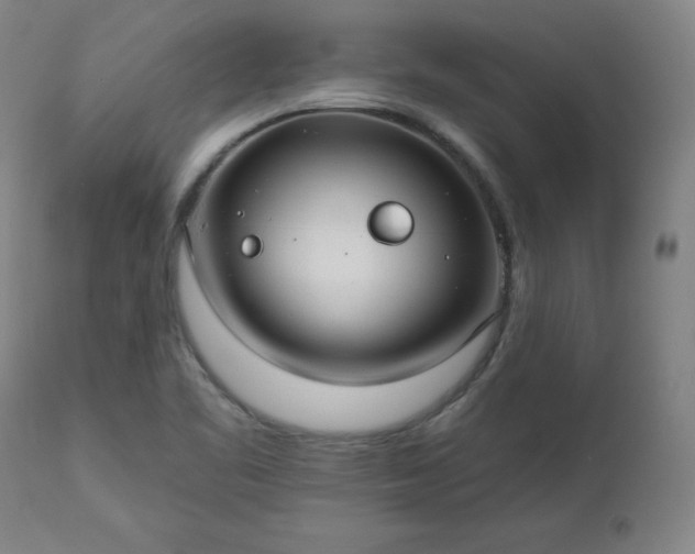 X0000112521461200908241433