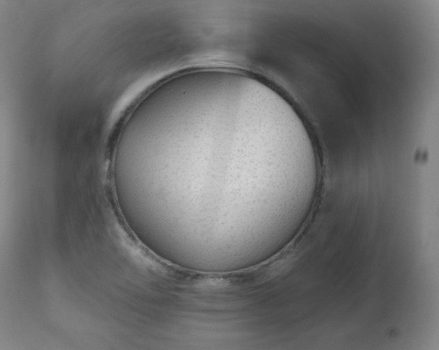 X0000112521462200908241433
