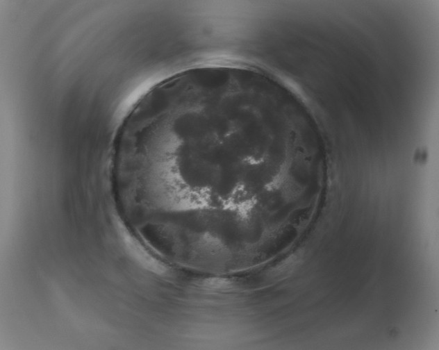 X0000112521463200908241433