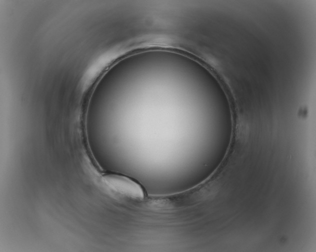 X0000112521464200908241433