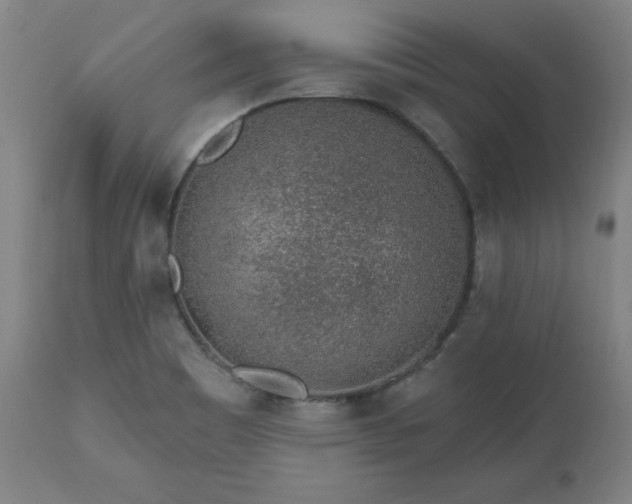 X0000112521465200908241433