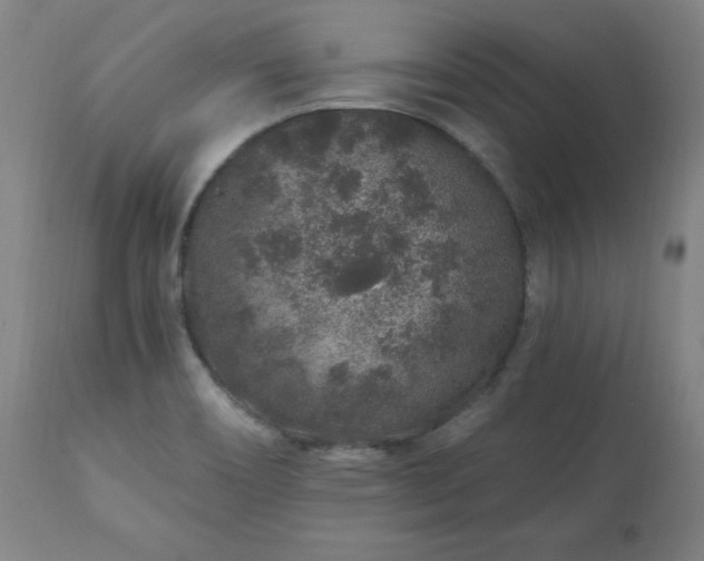 X0000112521466200908241432