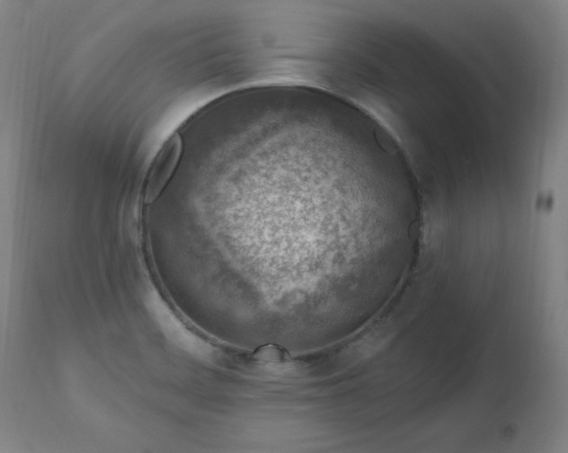 X0000112521468200908241432