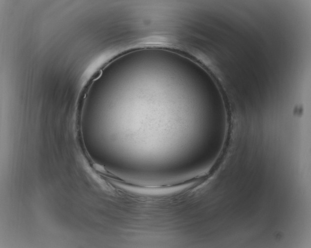 X0000112521469200908241432