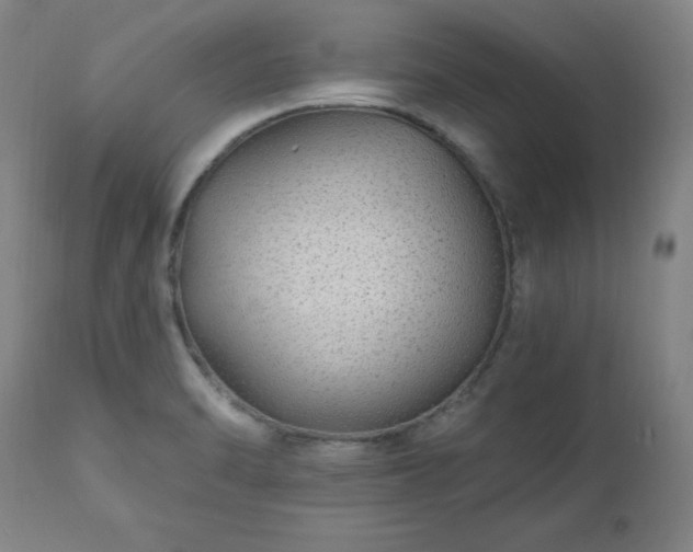 X0000112521470200908241432