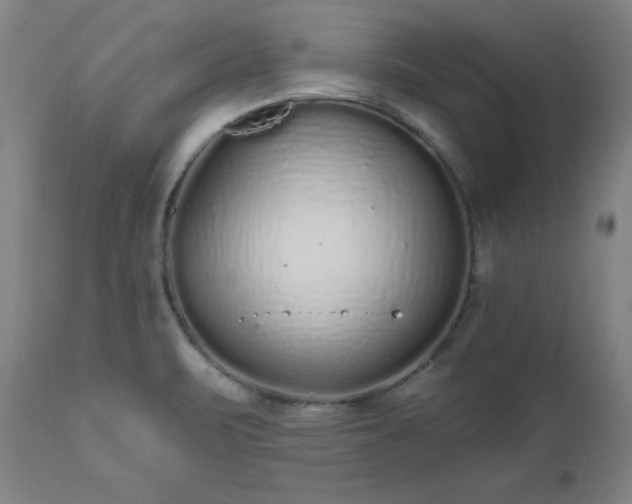 X0000112521471200908241432