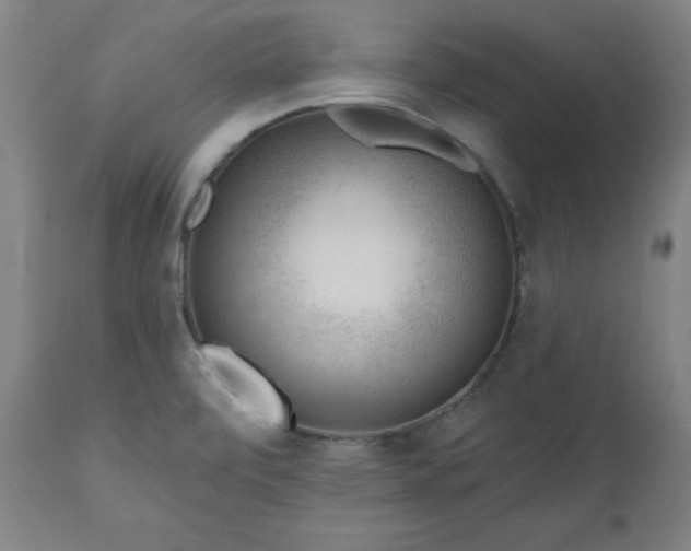 X0000112521472200908241432
