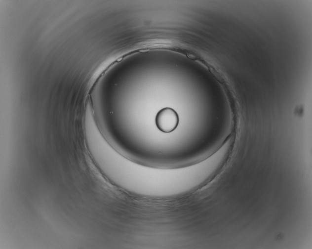 X0000112521473200908241432
