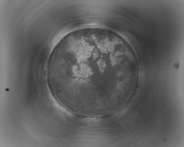 X0000112521474200908241432