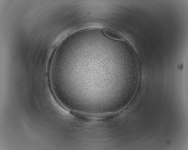 X0000112521475200908241432