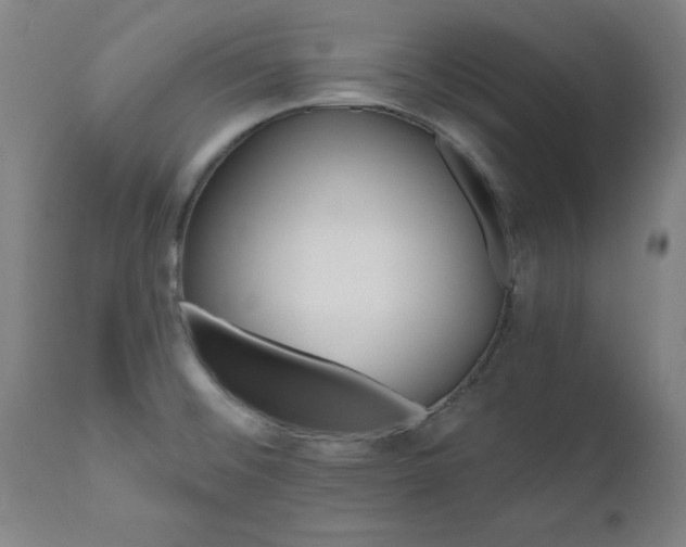 X0000112521476200908241432