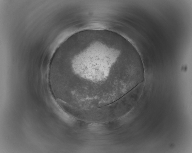 X0000112521477200908241432