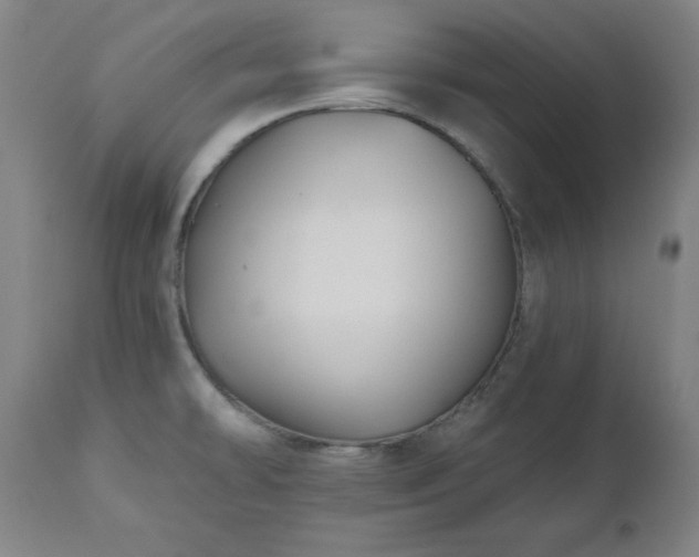X0000112521478200908241432