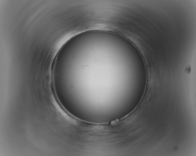 X0000112521479200908241432