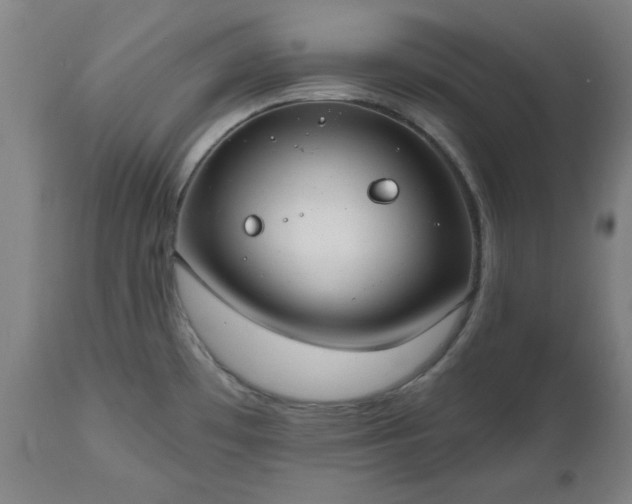 X0000112521481200908241432