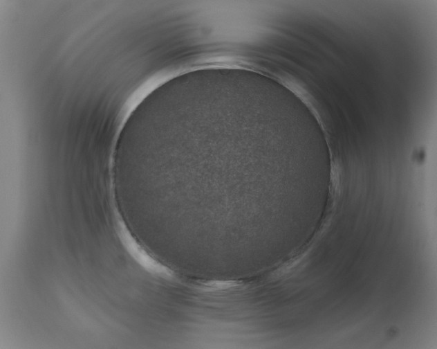 X0000112521482200908241432