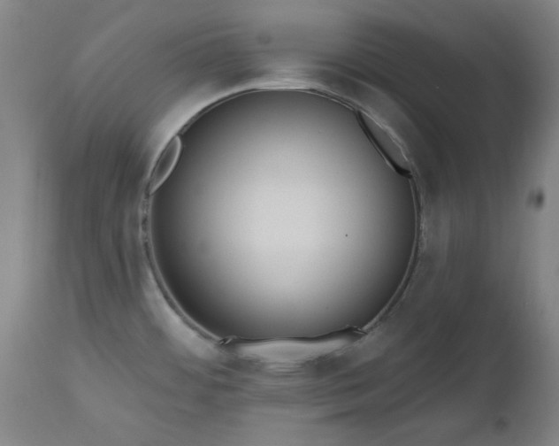 X0000112521484200908241432