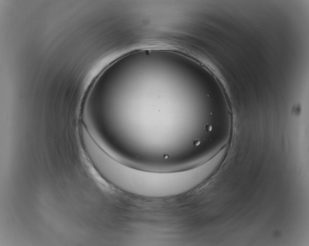 X0000112521485200908241432