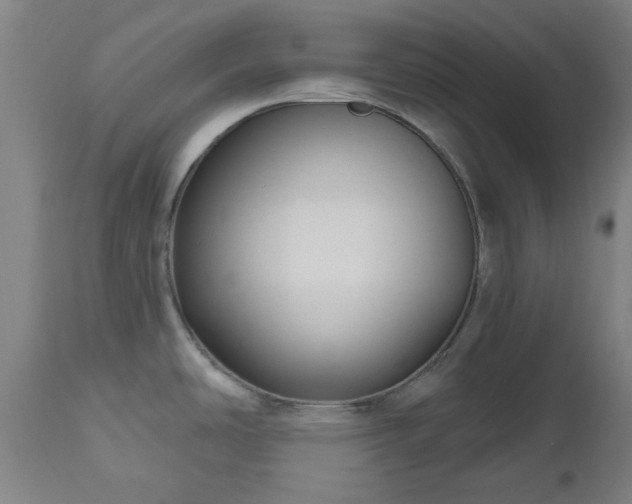 X0000112521486200908241432