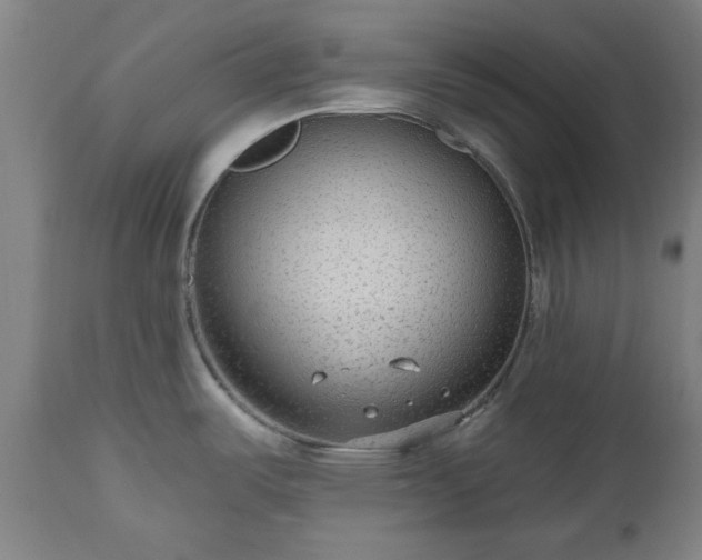 X0000112521487200908241432