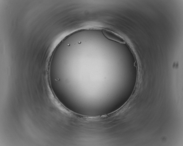 X0000112521488200908241432