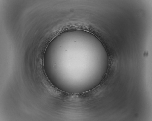 X0000112521489200908241431