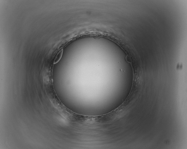 X0000112521490200908241431