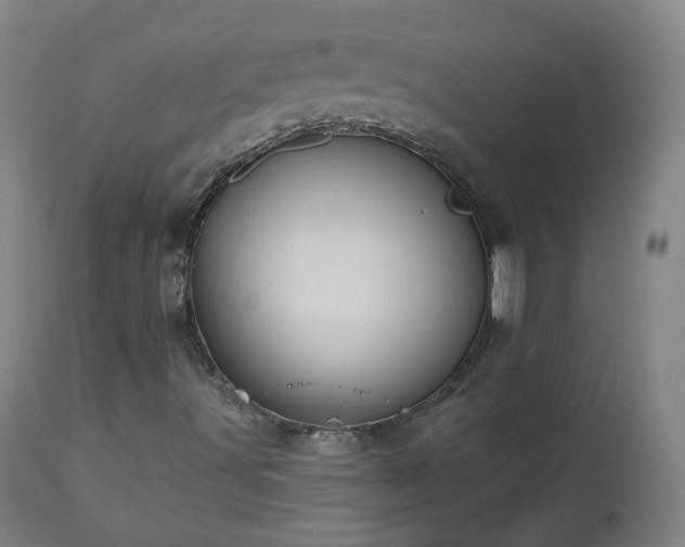X0000112521491200908241431