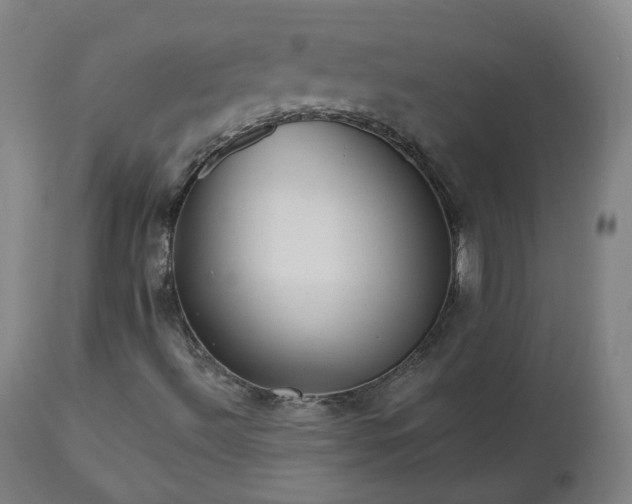 X0000112521492200908241431