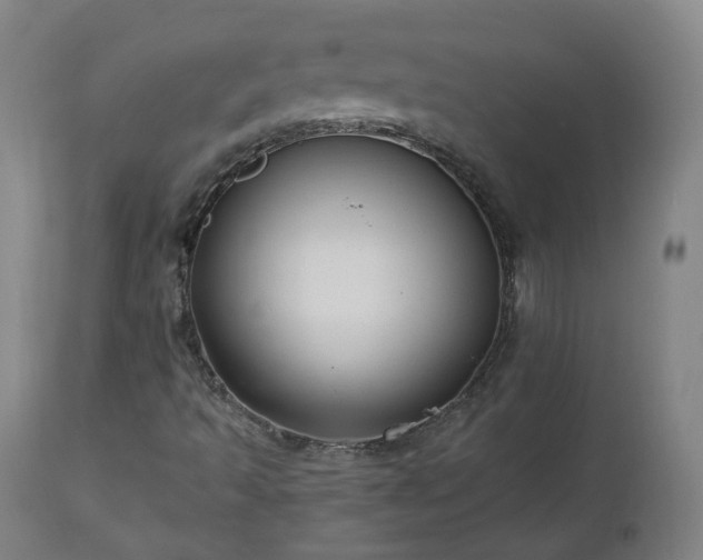 X0000112521493200908241431