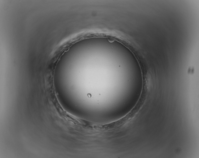 X0000112521494200908241431