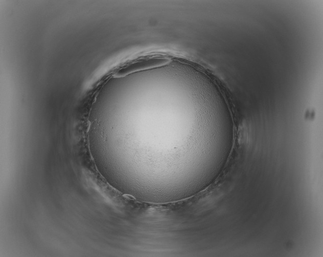 X0000112521496200908241431