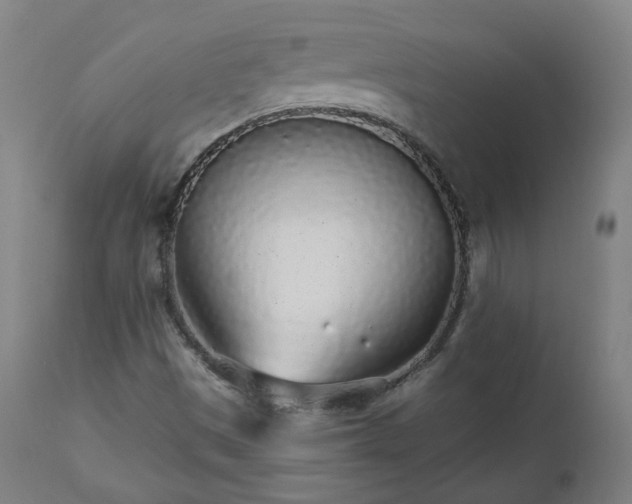 X0000112521497200908241431