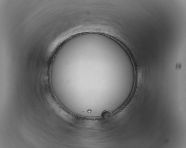 X0000112521498200908241431