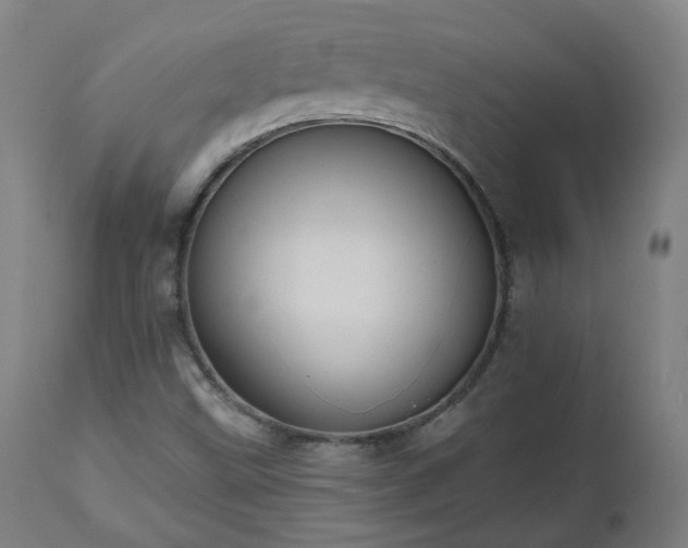 X0000112521499200908241431