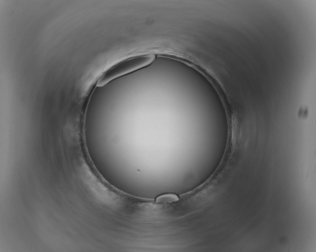 X0000112521500200908241431