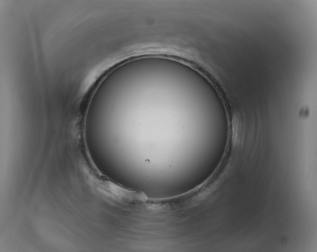 X0000112521501200908241431