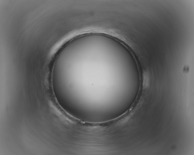 X0000112521502200908241431