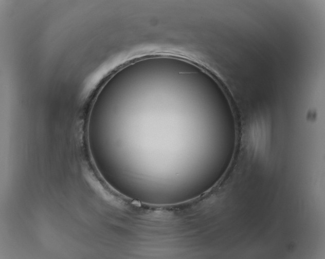 X0000112521503200908241431